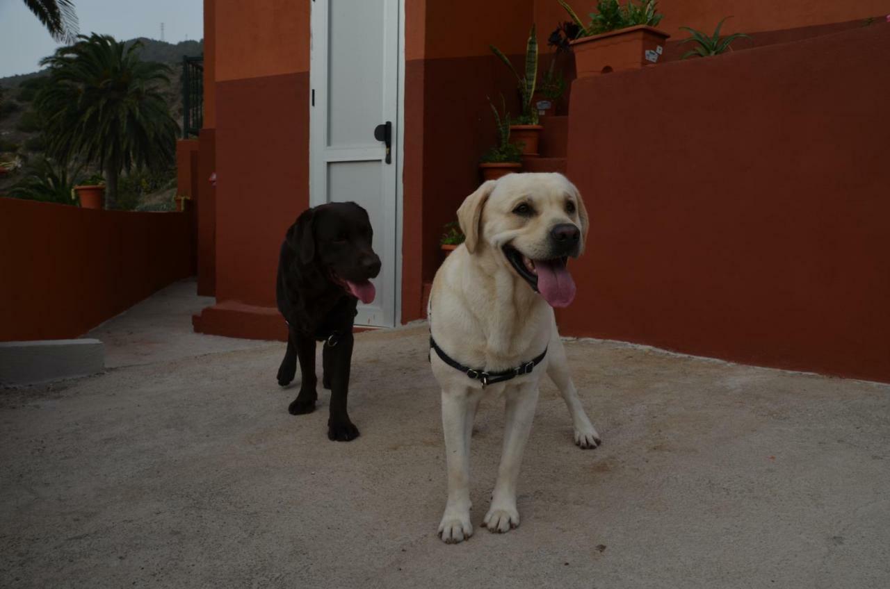 Casa Camilo Konuk evi Vallehermoso Dış mekan fotoğraf